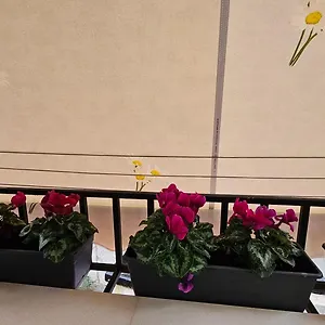 Center Tirana